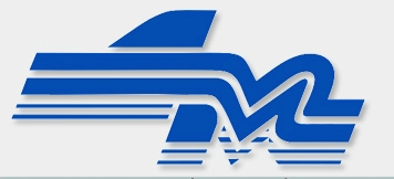 Логотип Дальмагистраль